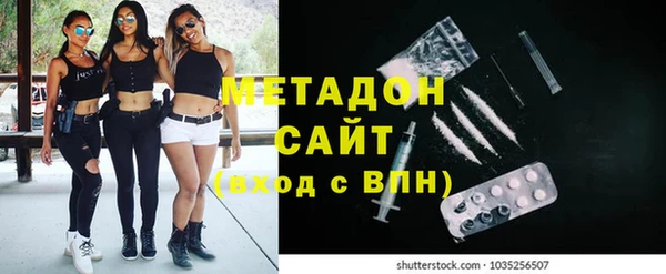 прущие грибы Переславль-Залесский