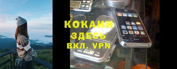 эйфоретик Няндома