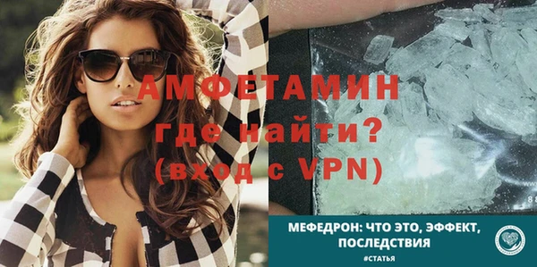 молекула духа Пересвет