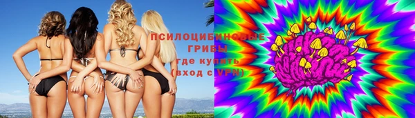 стафф Осинники