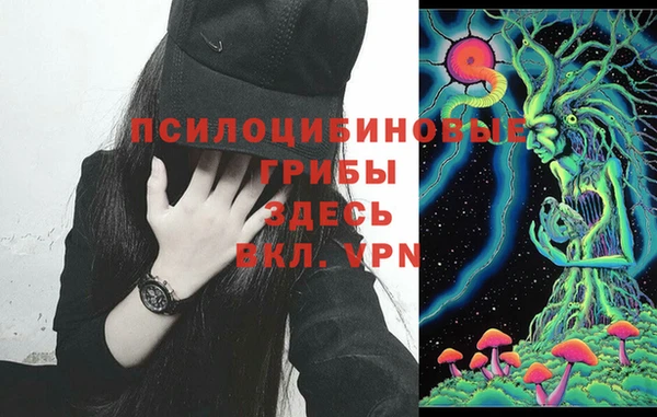 стафф Осинники